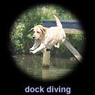 dockdiving