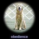 obedience