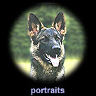 portraits