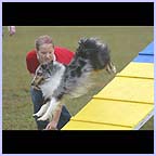 gal/agility/t_63_C1AG1411.jpg